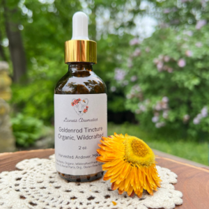 Goldenrod Extract, Wildcrafted