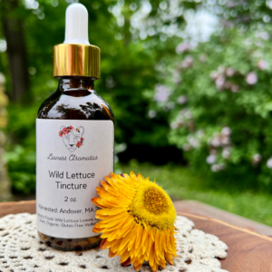 Wild Lettuce Extract, Wildcrafted