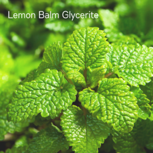 Lemon Balm Glycerite